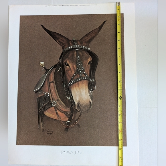 Bob Carney Print 1980s. Equestrian Subject. Nashville Tennessee - Picture 6 of 6